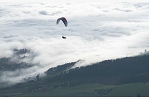 Frei wie ein Vogel