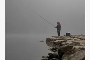 Nebel Fischer