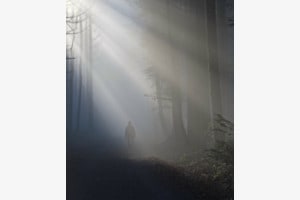 Nebel
