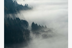 Der Nebel kommt