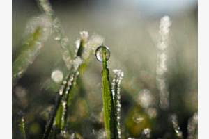 Lichtspiel
