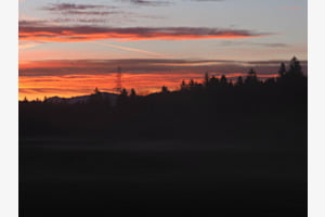 Morgenstund hat Gold im Mund