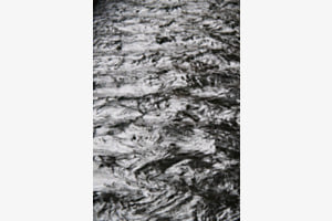 Wasser Wasser