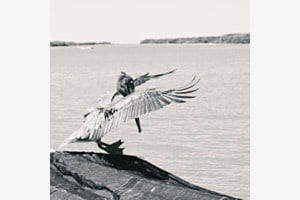 Im Landeanflug... Im Landeanflug...
