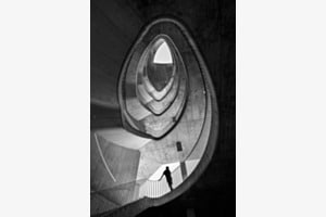 in ovo