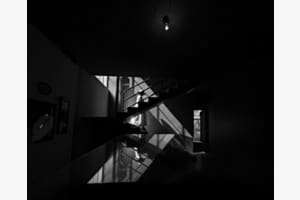 The light bulb