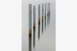 Pfähle im Hafen - Spiegelung 