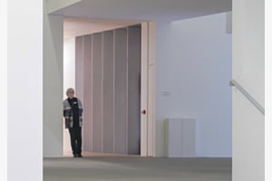 Die Museumswärterin
