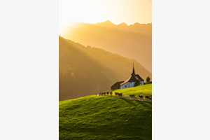 Abendspaziergang Abendspaziergang