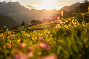 Frühlingsgefühle