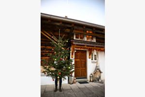 Oh du fröhliche Weihnachtszeit