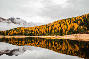 Spiegelbild