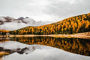 Lärchenzauber Engadin