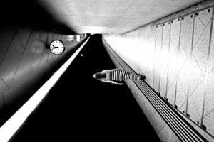 Lines
