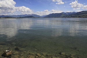 ZÜRI-OBERSEE FRÜHLING