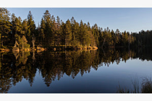Etang