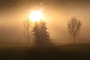 Sonne und Nebel