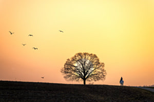 Ritt in den Sonnenuntergang
