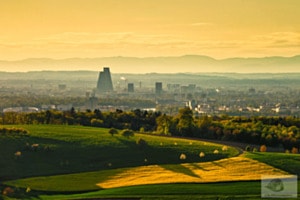 Die Stadt Basel mit den "Roche Towers".