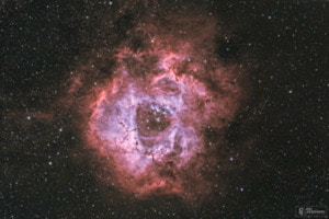 Rosettennebel - NGC 2244 Rosettennebel - NGC 2244