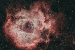 Cosmische Rose