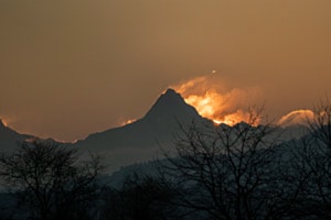 Schreckhorn