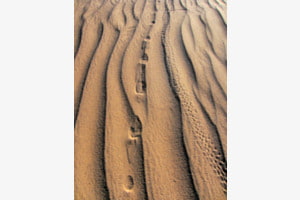 Sahara unknown