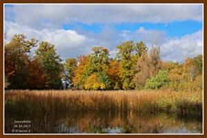 Automne