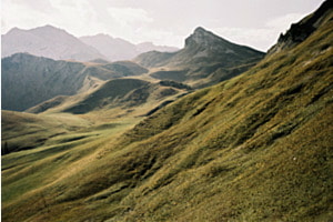 Landschaft