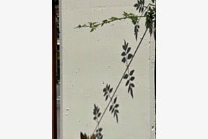Schatten