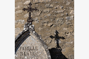 Ein Schatten über der Familie Ein Schatten über der Familie