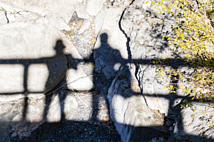 Freundschaft Freundschaft