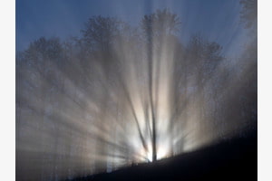 November-Nebel-Sonne