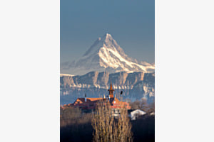 Schreckhorn und 7 Hengste