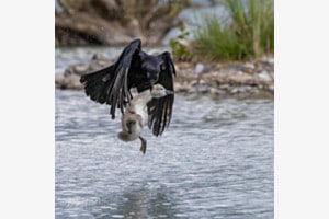 Ungewollter Freiflug