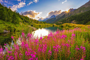 NATURPARADIES