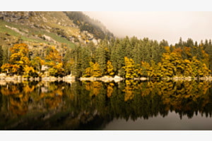Spiegelung des Herbstes