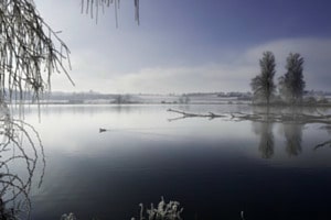 Moossee