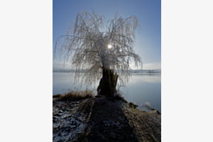 Moossee