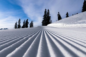 Winter Linien