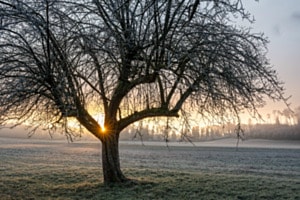 Kalter Morgen mit Sonnenstrahlen