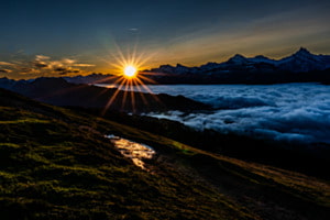 Niederhorn