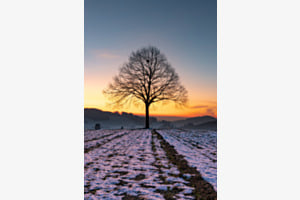Beautiful silhouette