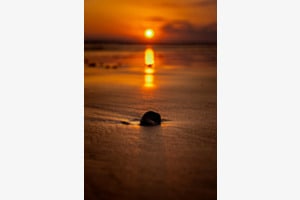 Der Stein im Schatten des Sonnenuntergangs