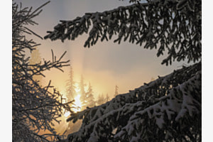 Sonnenuntergang im Nebel