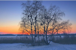 Sonnenuntergang