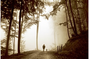 Spaziergang