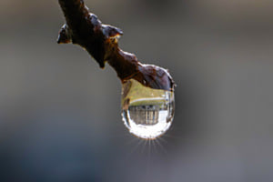 Spieglein Spieglein im Tropf