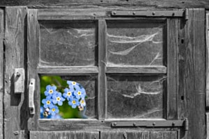 Durchblick