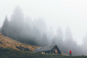 Foggy house in the forest 